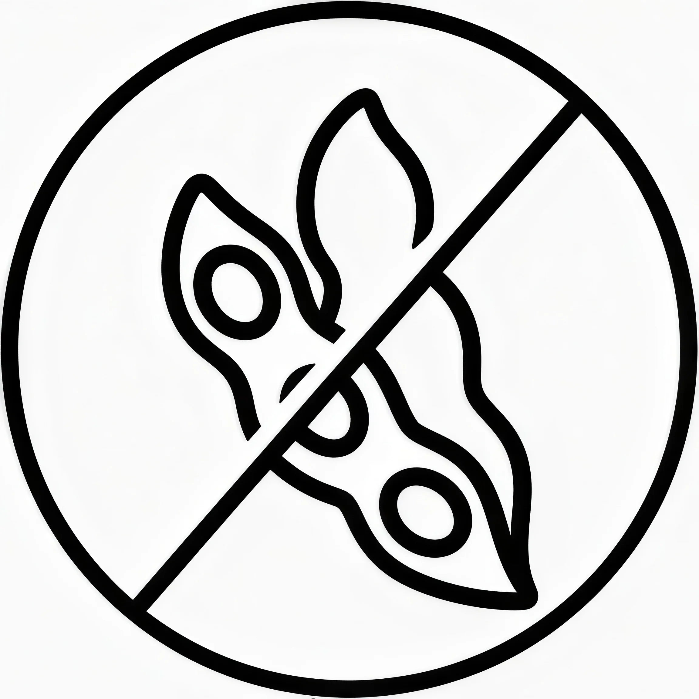 Soy Free